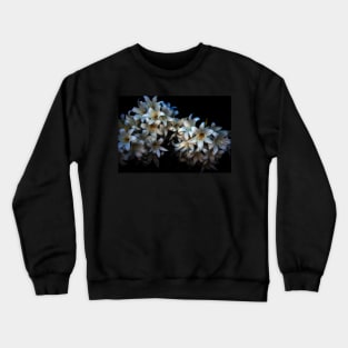 Belladonna Crewneck Sweatshirt